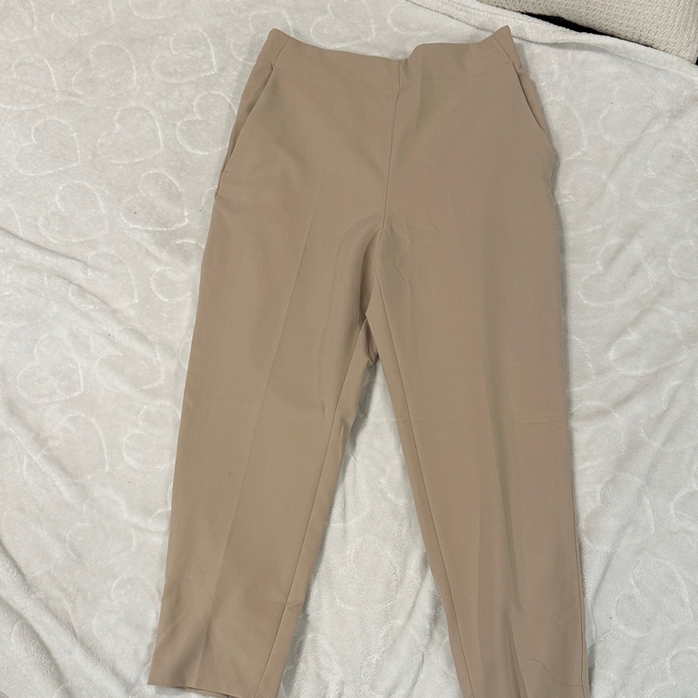 Zara Light Tan Pants